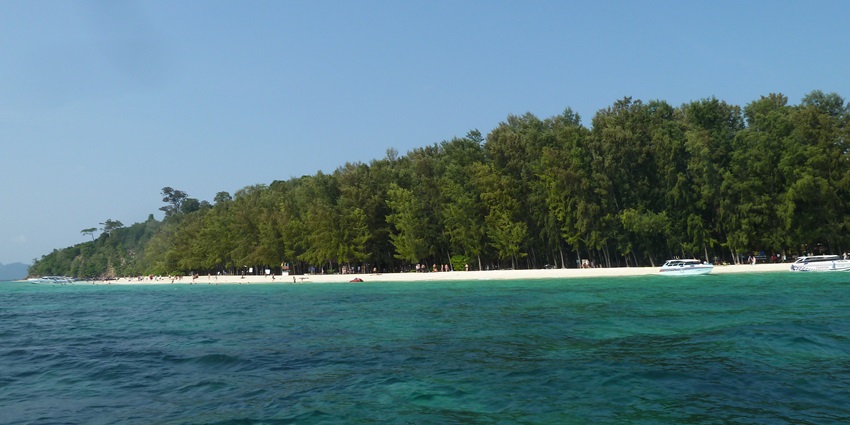 See the lush green tropical landscapes at Bamboo Beach - one of the beaches in Pattaya.