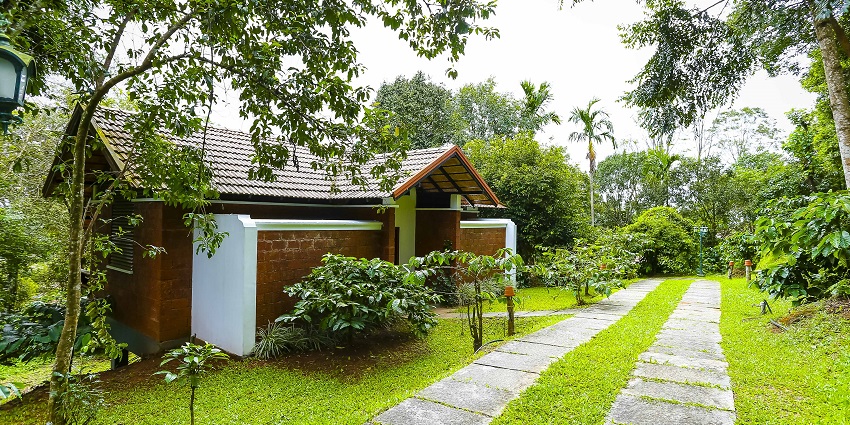 A beautiful snapshot of a resort surrounded by green lush forest from all sides in Wayanad