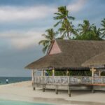 A mesmerising view of a brown hut near a body of turquoise water during the day.