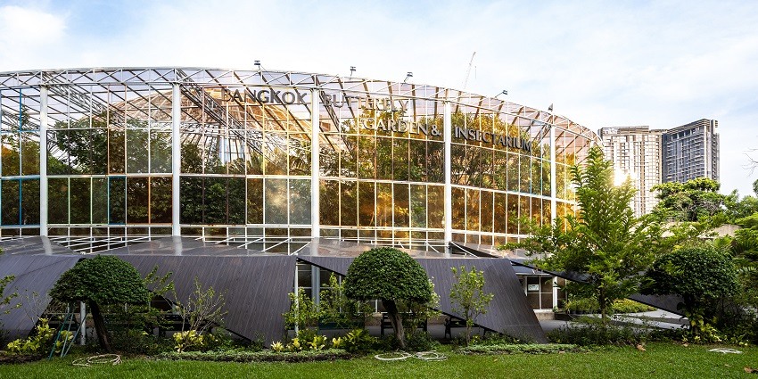 This butterfly garden showcases various species of butterflies and insects for visitors.