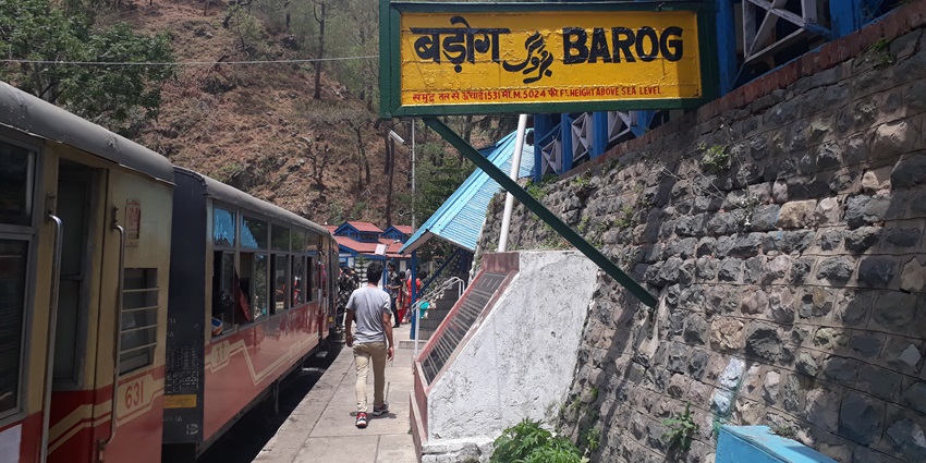 Barog has a beautiful hill station tunnel which attracts all the tourists for views here.