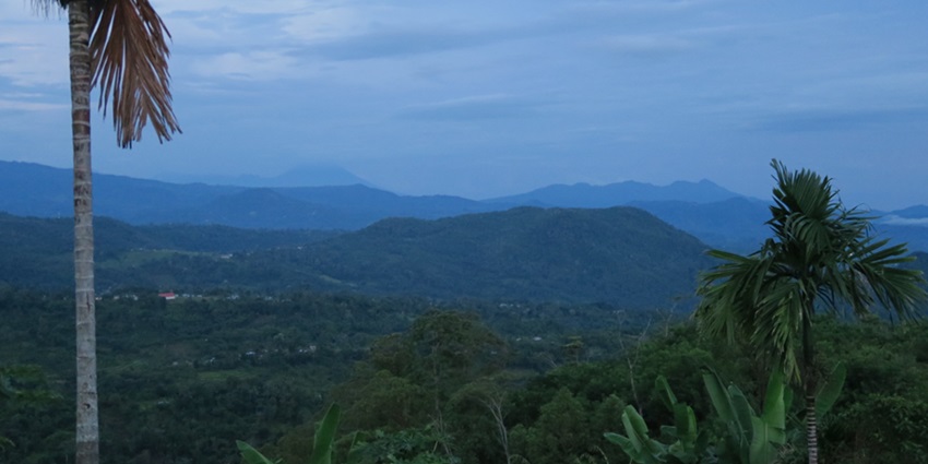 If you want to take a glimpse of the traditional Sikkim life, head towards Borong Village.