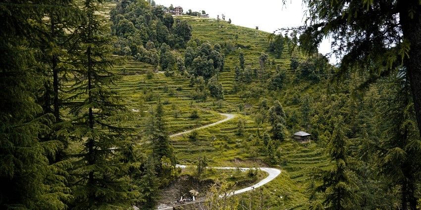 Barot Valley, one of the most serene places to explore near Nargu Wildlife Sanctuary.