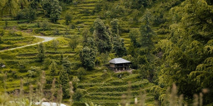 Barot Valley, one of the serene places to explore near Bandli Wildlife Sanctuary.