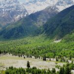 The breathtaking view of the lush valley surrounding the stream in Himachal Pradesh.