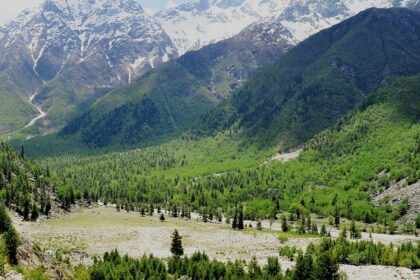 The breathtaking view of the lush valley surrounding the stream in Himachal Pradesh.