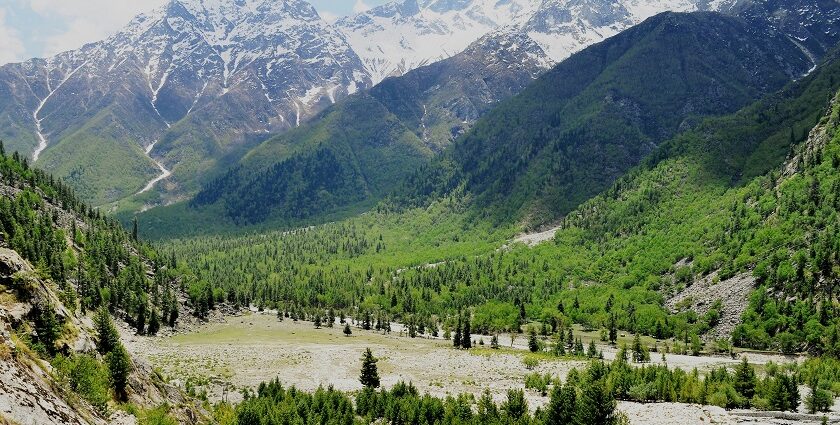 The breathtaking view of the lush valley surrounding the stream in Himachal Pradesh.