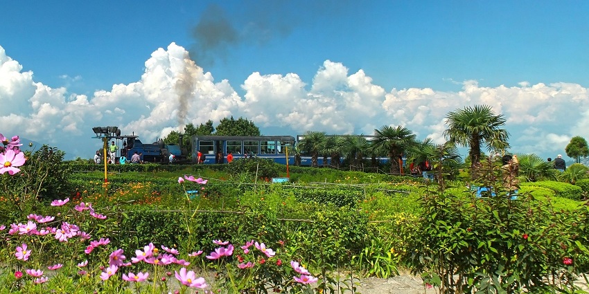 This loop is surrounded by a finely designed garden with a variety of flowering plants and shrubs.