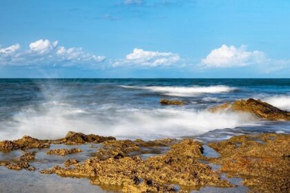 Sunny beach with clear blue sea, and a gentle coastline - picnic places in Odisha.