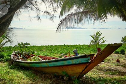 Picturesque view of beach surrounded by lush greenery and rocks - beaches in Koh Samui