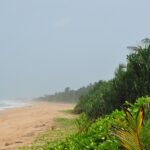 Beach in Sri Lanka with golden sands, clear blue water - Places to visit in Bentota.