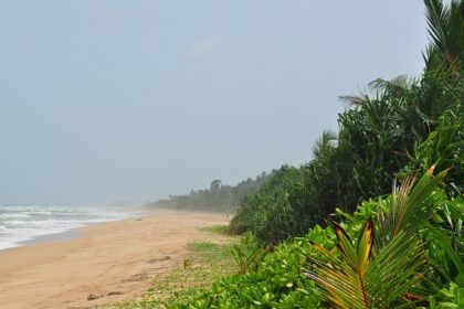 Beach in Sri Lanka with golden sands, clear blue water - Places to visit in Bentota.