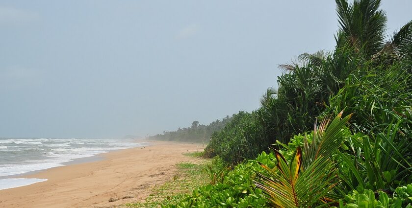 Beach in Sri Lanka with golden sands, clear blue water - Places to visit in Bentota.