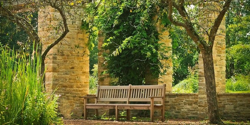 A serene garden scene featuring an empty wooden bench surrounded by lush greenery.