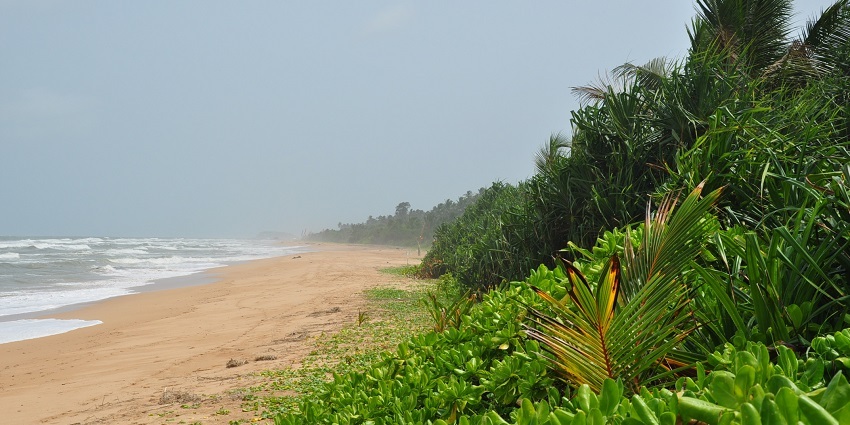 Bentota, located on the southwest coast, is one of the best beaches in Sri Lanka.