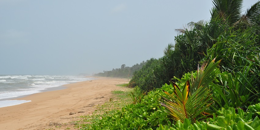 This is one of the best beaches in Bentota, Sri Lanka that you must visit once, for sure.