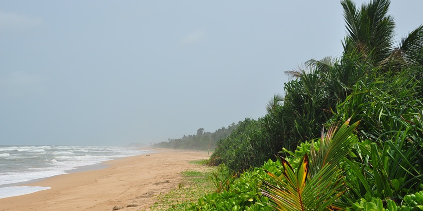 Serene Bentota Beach, is a perfect getaway for sun and sand lovers in Sri Lanka