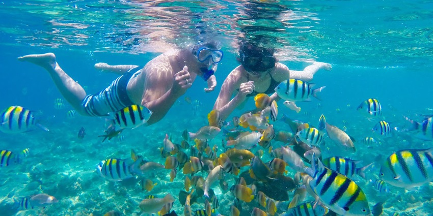 Snorkellers enjoying snorkelling in Pattaya with various fish around them