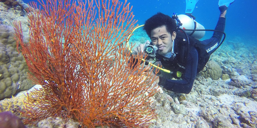A picture of a person scuba diving in the Gili Islands and exploring underwater plants
