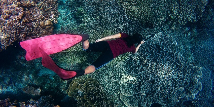 A picture of a woman snorkelling in Gili Islands and exploring the underwater life
