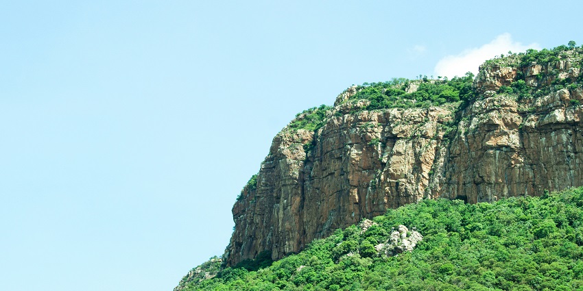 See the awe-inspiring views of lush green Tirumala hills where Perumal Temple is located.