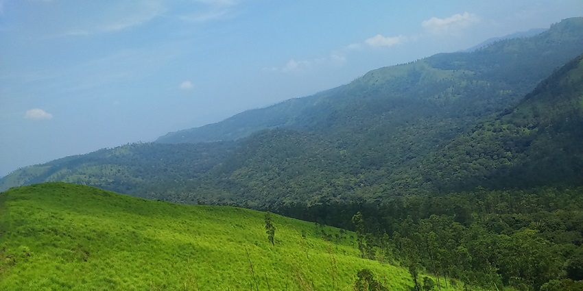 A scenic landscape in the hills of Kerala with trees and a beautiful sky in the background