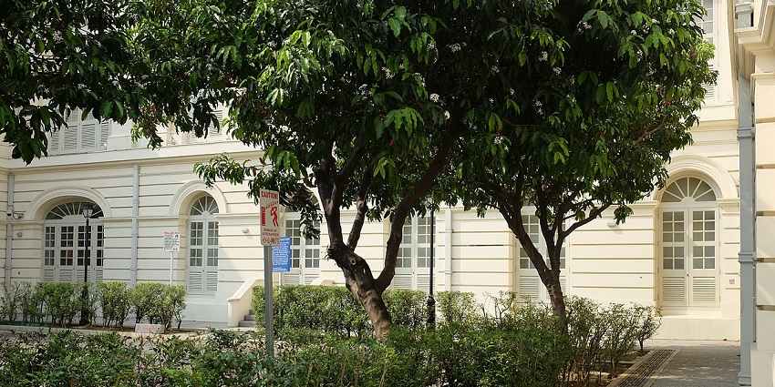 The Asian Civilisations Museum is open to tourists almost all days throughout the year.