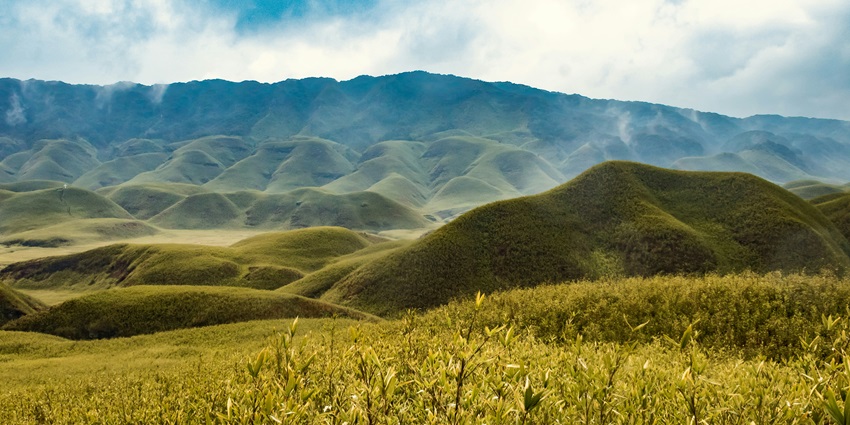 The best time to explore Intanki National Park in Nagaland is from November to April.