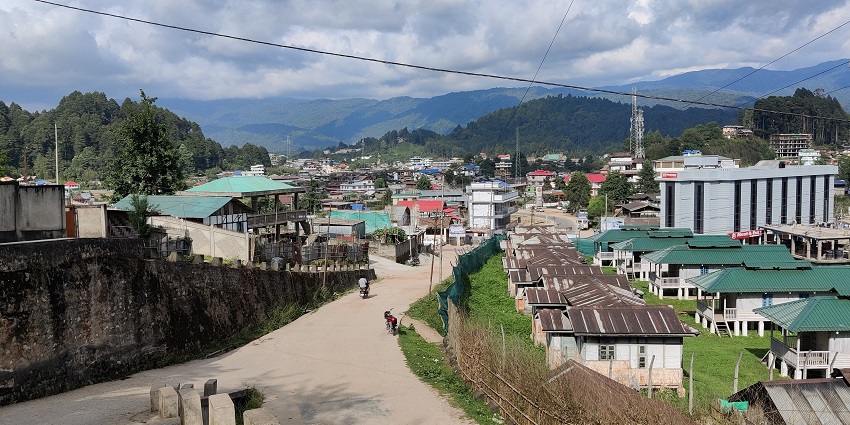 A picture of a town clicked from a street showing trees and houses