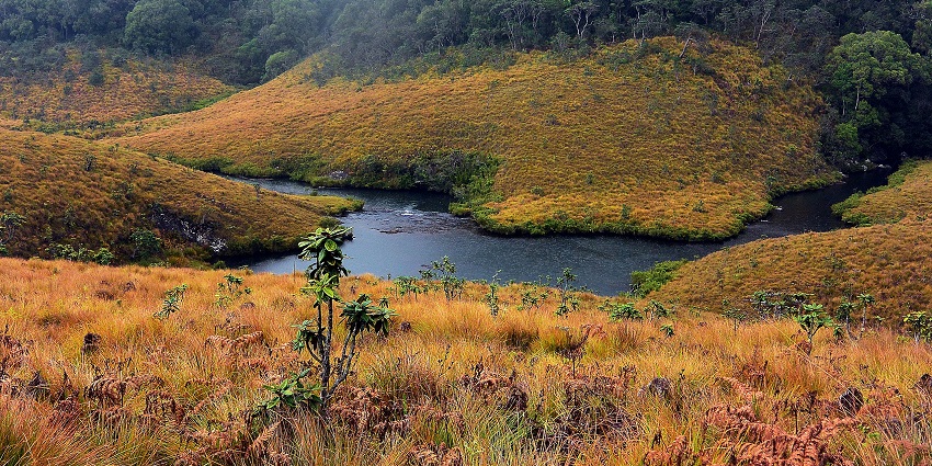 Explore the natural wonders of Sri Lanka on your visit to Horton Plains National Park.