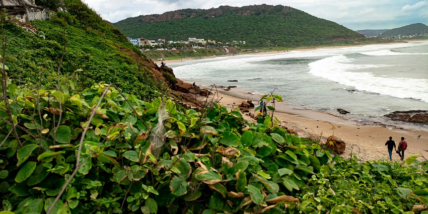 A breathtaking view of water body with lush greenery on the side during the daytime.