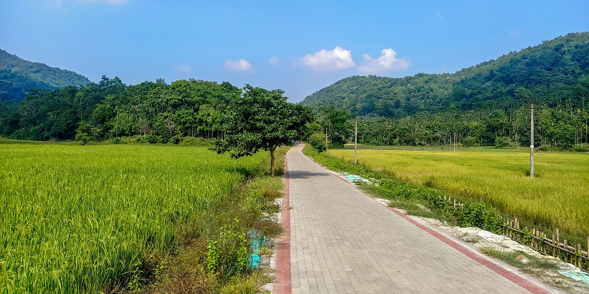 A captivating view of a dirt road in Assam encircled by lush green trees and mountains.