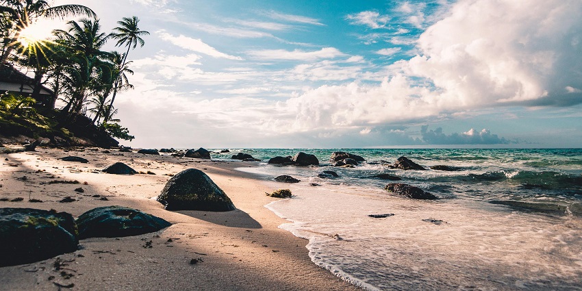 A view of the seaside with palm trees and rocks under a cloudy sky during the day.