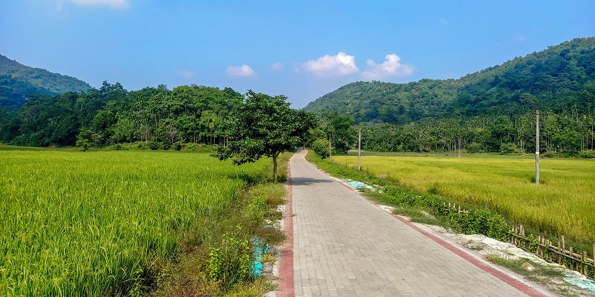 A mesmerising view of lush green grass, trees, and mountain peaks with a pathway.