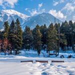 A scenic view of the sprawling lush meadows and mountains of Betaab Valley in Pahalgam.