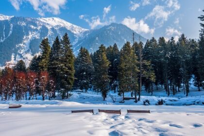 A scenic view of the sprawling lush meadows and mountains of Betaab Valley in Pahalgam.