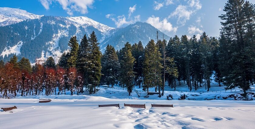 A scenic view of the sprawling lush meadows and mountains of Betaab Valley in Pahalgam.