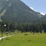 Lush forests and serene blue skies make up the gorgeous Betaab Valley in Kashmir