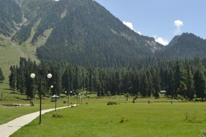 Lush forests and serene blue skies make up the gorgeous Betaab Valley in Kashmir