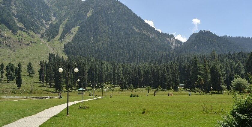 Lush forests and serene blue skies make up the gorgeous Betaab Valley in Kashmir