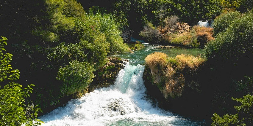Water cascading down and submerging into a stream surrounded by lush vegetation.