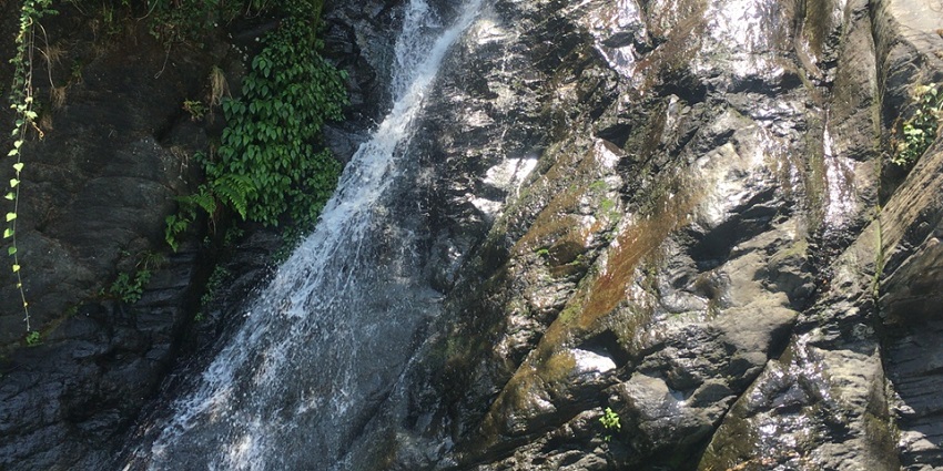 The best tourist place to visit near the Namgyal Monastery in Mcleodganj