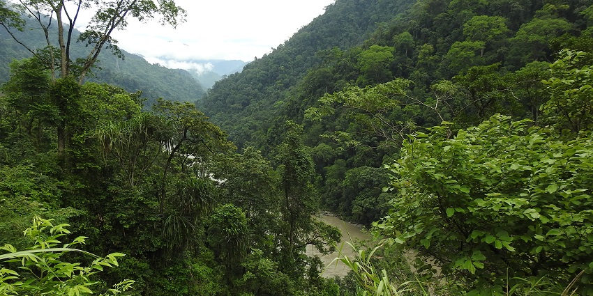 Bhalukpong is a pretty town used by tourists as a picnic spot and sightseeing.