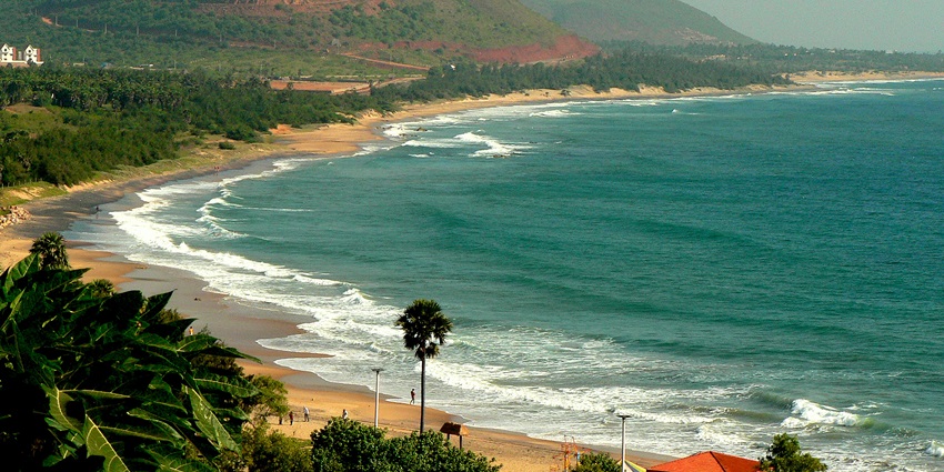 Explore the rich flora of Bhavani Island which is one of the islands in Andhra Pradesh
