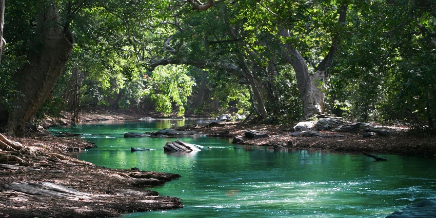 Cherish some spellbinding views of the surroundings of Bhogamdani Cheruvu.