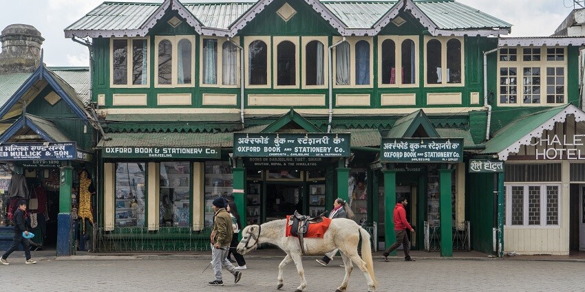 A stunning view of a book store in Darjeeling with a beautiful white horse in front of it.