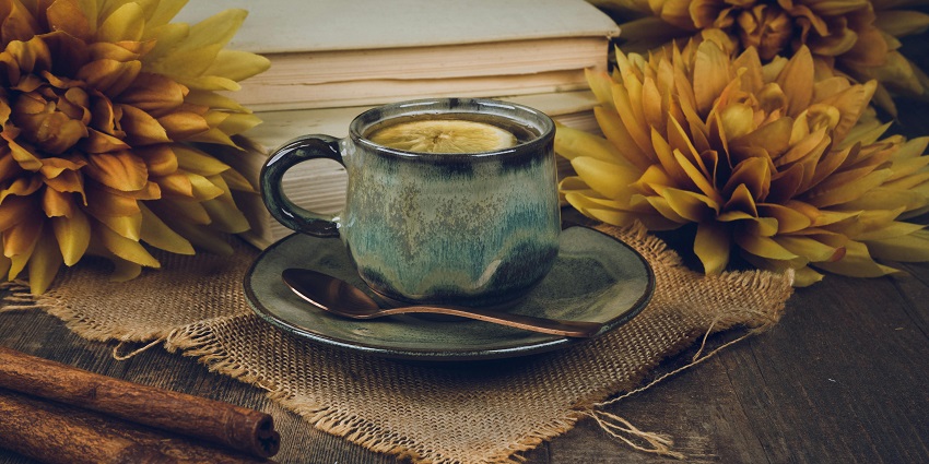 Bir Tea Factory is one of the best places to visit near Chokling Monastery for tea lovers.