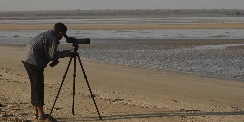Person birdwatching with binoculars in a forested area in India during daytime