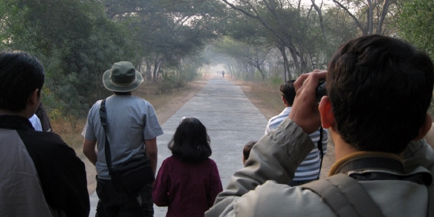 Group of tourists trying to spot birds in the sanctuary— Things To do in Krabi Hot Springs