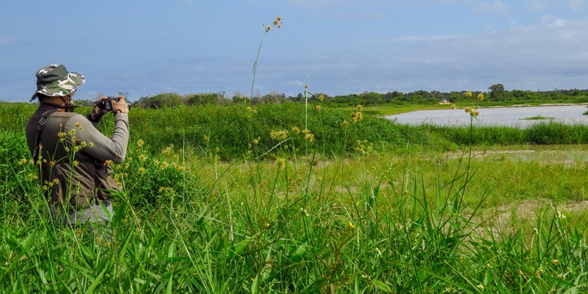 Witness a wide range of birds and butterflies on your visit to the wildlife sanctuary.